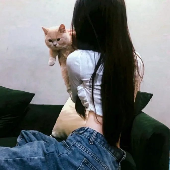 哈比王传奇