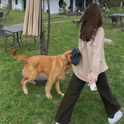 节日的准备