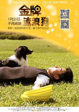 帕特女士：想听点疯狂的吗？ 封面图