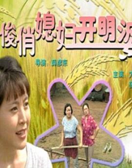 寻侠英雄传之伏虎 封面图